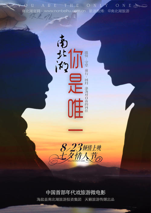 做假内布拉斯加州ID
